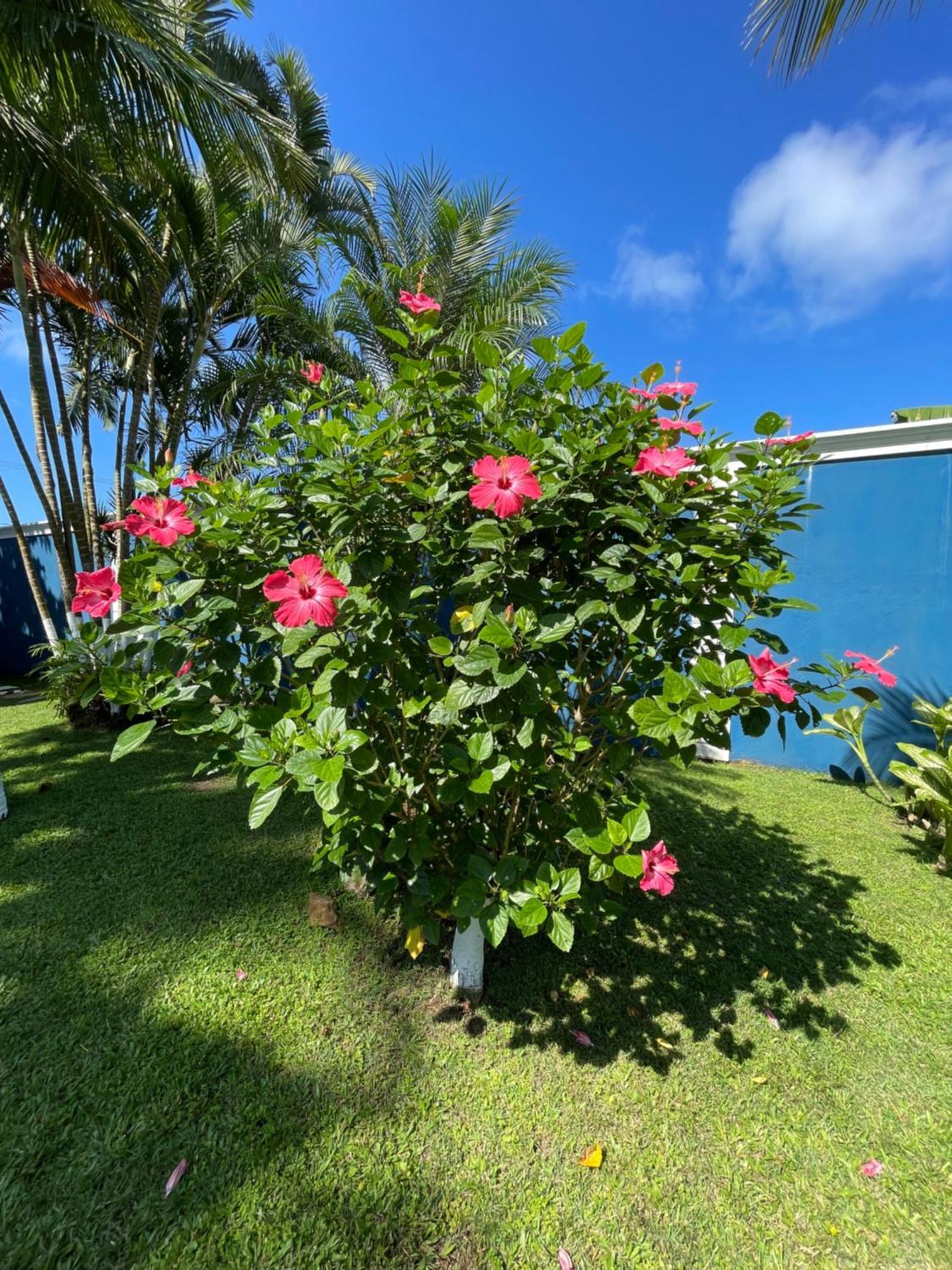 Recanto Divino - Pe Na Areia - Quartos Host